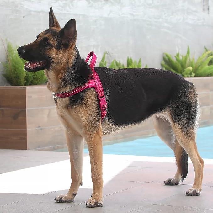 Plutus Pet No Pull Dog Harness for Large Dogs, Breathable Mesh Padded | Adjustable Reflective with Handle, Escape Proof, Quick Fit Pet Vest, Front Clip, for Training and Walking, Pink, XL - Image 5