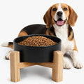 Elevated/Raised Ceramic Dog Bowl with Bamboo Stand,8 inch 7.6 Cups Non-Slip Heavy-Weighted Single Pet Dish, Reduces Neck Strain Black by addggo