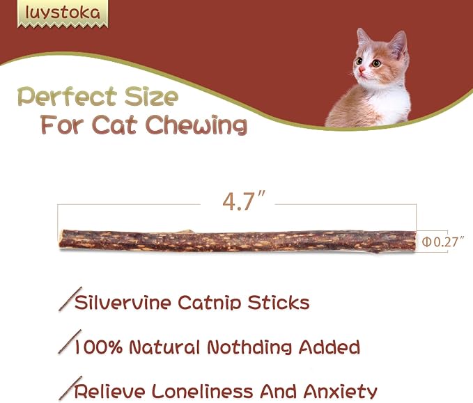 Silvervine Sticks for Cats, 30PCS Kitten Toys Catnip Toys Matatabi Silvervine Sticks Kitty Chew Toys Wooden Stick Kitten Teething Toys Molar Suitable for Cats of All Ages - Image 2