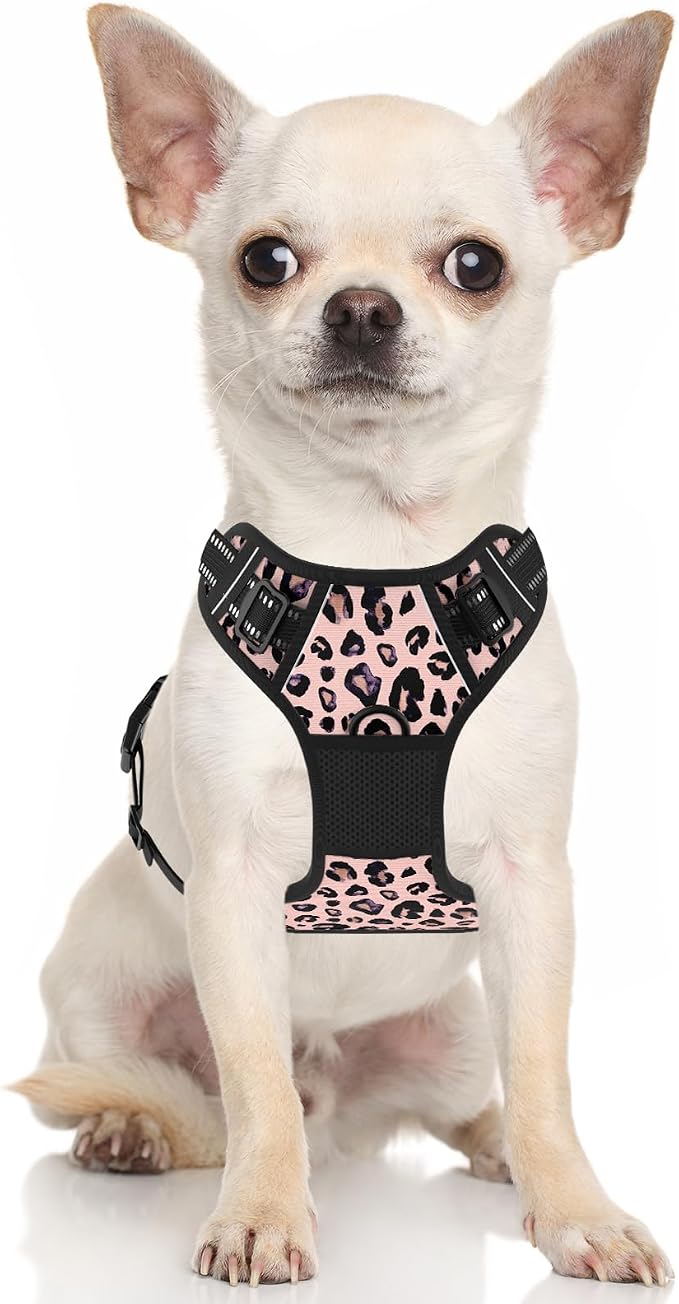 Rnivvi No Pull Dog Harness, Cute Leopard Reflective X-Small Sized Puppy Kitten Harness, Adjustable Soft Padded Vest for Small Dogs, Cats, Heavy Duty Pet Vest with Easy Control Handle for Walking, Pink - Image 2