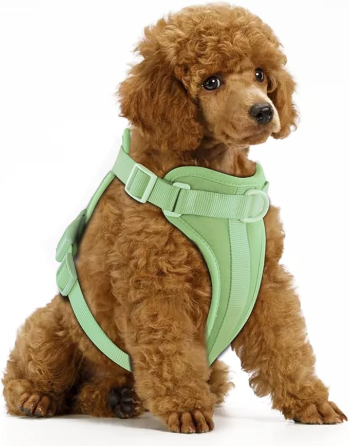 Wisedog No Pull Dog Harness, Sage Green, X-Small | Lightweight, Adjustable Breathable Pet Vest, Soft & Comfortable Cushion, Small Medium Large Dogs by WisedogPetSupplies