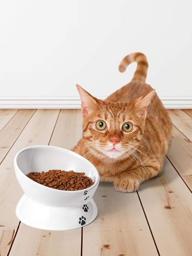 Y YHY Elevated Tilted Cat Bowl, Raised Pet Bowl for Adult Cats or Dogs, Ceramic Food Dish 10 oz, White - Image 7