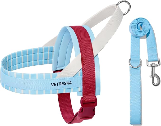 VETRESKA Dog Harness Small Sized Dog, Adjustable No Choke Puppy Harness XS | No Pull, Easy Control Pet Harness Vest for Dogs, Cat, Kitten, Dog Harness with Anti-Tangle Dog Leash Set (Misty Melo) by VETRESKA