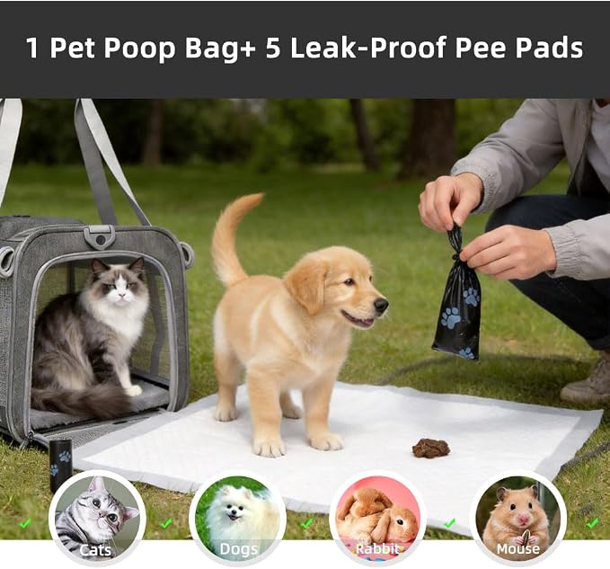 Cat Carrier Soft Sided Dog Carrier Airline Approved Pet Carrier for Small Dog/Cat Bag (17.32" L×10.63" W×9.84" H) with 1 Poop Bags and 5 Pee Pads,Ideal for Medium-Large Cats Small Dogs - Image 3