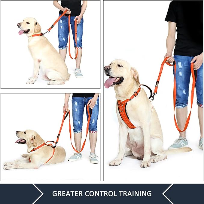 Plutus Pet Double Handle Dog Leash, 4 FT Long, for Medium Large Dogs | Reflective Nylon, Soft Padded 2 Handles, Heavy Duty for Training, Dual Handle Lead, 4 FT x 1”, Orange - Image 3