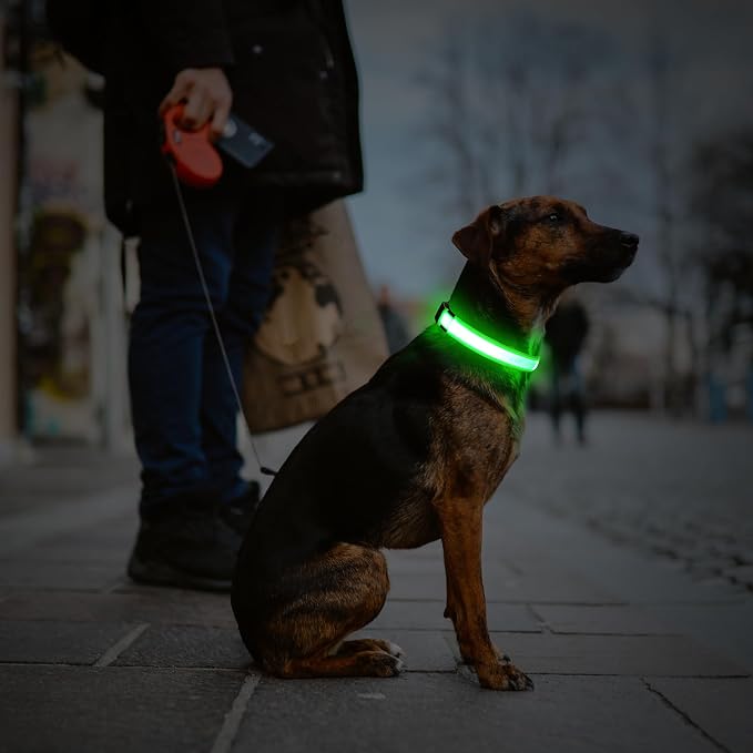Illumifun LED Dog Collar, USB Rechargeable Light Up Dog Collar Glow in the Dark (Green, Medium) - Image 7