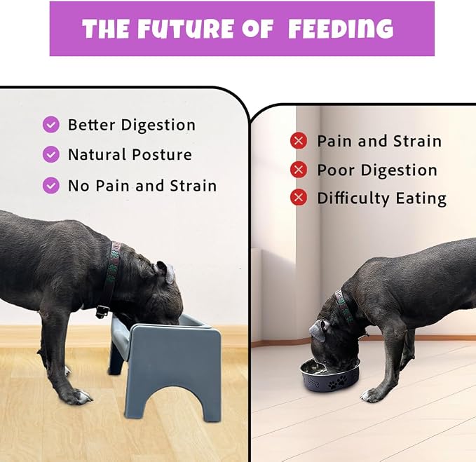Fluff Trough 7.25 Inch Tall Elevated Dog Bowls for Medium & Small Dogs – Stainless Steel Raised Dog Bowl with Stand Holds 2 Cups of Pet Food – Vet Recommended, Dishwasher Safe Dog Feeder Station - Image 8