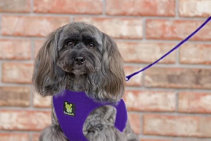 EcoBark Step in Dog Harness, Soft Mesh Body Halter Vest, Purple, Medium | Eco Friendly, Reflective & Adjustable Dog Harnesses For Small & Medium Dogs, Toy Breed Harness, No Choke Escape Proof - Image 9