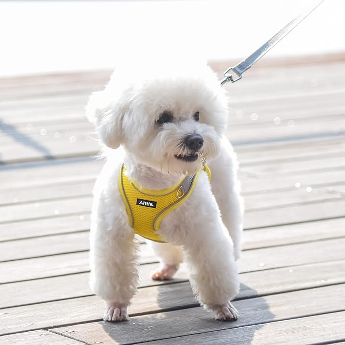 AIITLE Medium Dog Harness and Leash Set, Step-in Puppy Pet Vest, Yellow L | Light, Soft, Breathable Air Mesh, Escape-Proof, Easy on and Remove with Hook & Loop, Secure Reflective for Walking - Image 2