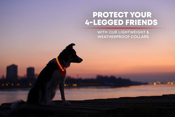 LED Dog Collar USB Rechargeable - Bright & High Visibility Lighted Glow Collar for Pet Night Walking - Weatherproof, in 6 Colors & 6 Sizes (Orange Large) - Image 6
