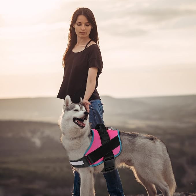 Dog Harness, No-Pull Reflective Dog Vest, Breathable Adjustable Pet Harness with Handle for Outdoor Walking - No More Pulling, Tugging or Choking Small (Pack of 1) RoseTurquoise - Image 4