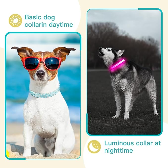 Light Up Dog Collar, USB Rechargeable, Floral Daisy Print (S) | USB Rechargeable LED Dog Collar with Bright Light, Adjustable Fit, Floral Daisy Rose Design for Safe Night Walks - Image 6