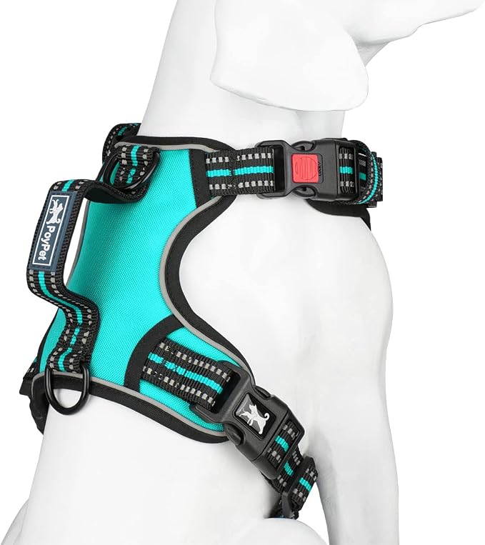 PoyPet No Pull Dog Harness with 3 Leash Clips and Vertical Handle | No Choke, Reflective, Adjustable, Soft Padded, Dog Vest for Large Dogs, Walking Training, Mint Blue, L - Image 2