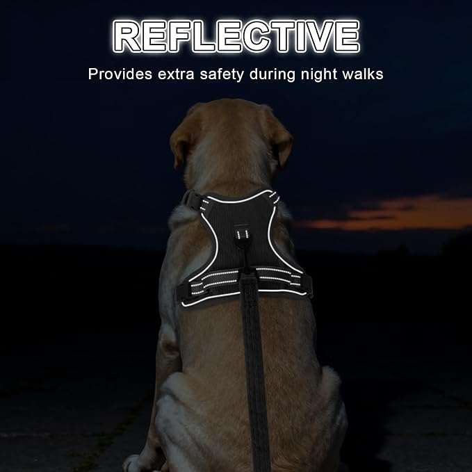BEAUTYZOO No Pull Dog Harness and Leash Set, Step in Puppy Pet Vest, Large | Reflective with Handle, Adjustable Soft Padded, Easy Control for Walking, No Choke Escape Proof, Lightweight, Grey - Image 6