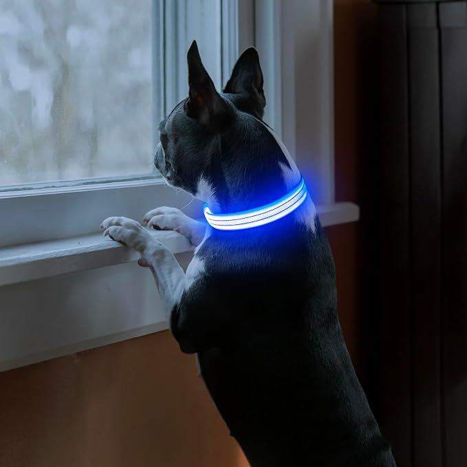 Light Up Dog Collars Rechargeable, Reflective LED Glow Dark Dog Collar for Small Medium Large Dogs, Adjustable Pet Dog Lights for Safe Night Walk-Blue, Large - Image 2