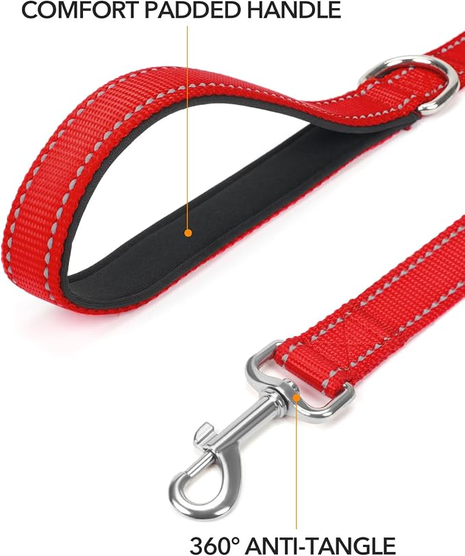 Taglory Reflective Dog Leash for Small Dogs, 3/4in x 6ft, Red | Ideal for Night Walking, Strong for Sudden Pulls, Lightweight & Gentle on the Neck, Soft Padded Handle - Image 2