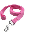 Strong Nylon Dog Leash, 4FT/ 5 FT/ 6FT Dog Leashes for Small Medium Dogs by MANDAO