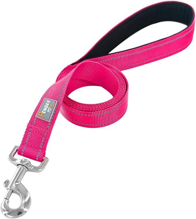 6 FT Basic Dog Leash for Small Dogs,Hot Pink | Padded Handle,Metal D-Ring,Heavy Duty Nylon Webbing, for Walking & Training - Image 2
