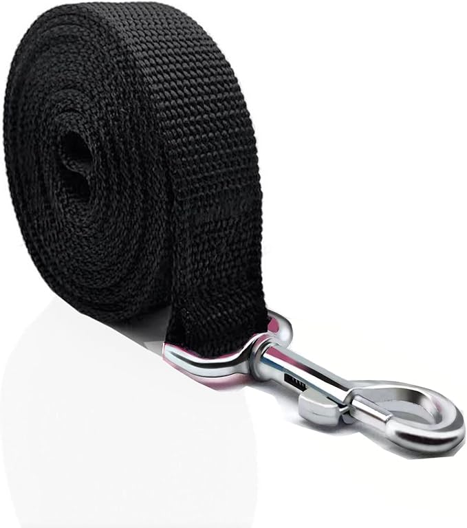 Nylon Dog Leash 4 Ft 5 Feet 6 Foot Long, Walking Training Dog Leashes for Medium Large Dogs, 1 Inch Wide (3/4" X 6 ft, Black) - Image 2