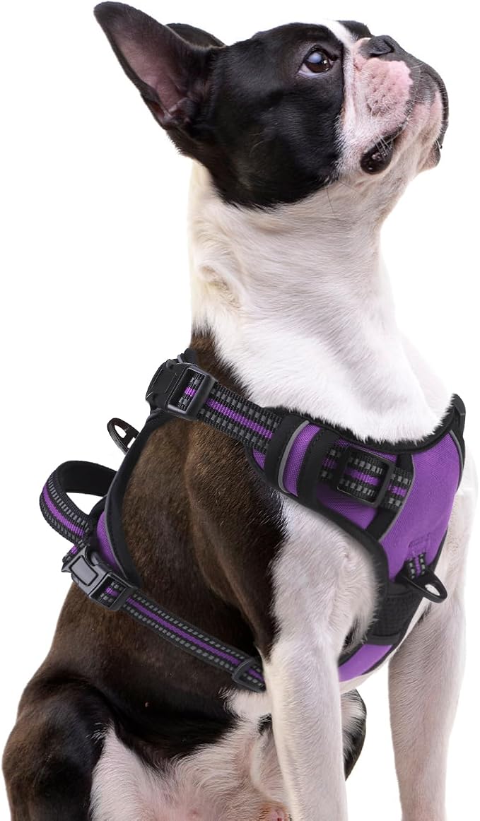 PUPTECK No Pull Dog Harness Small Sized, Adjustable Reflective Dog Harness with Handle Easy Control, Comfortable Soft Padded Pet Vest Harness for Small Dogs, Solid Purple S by PUPTECK