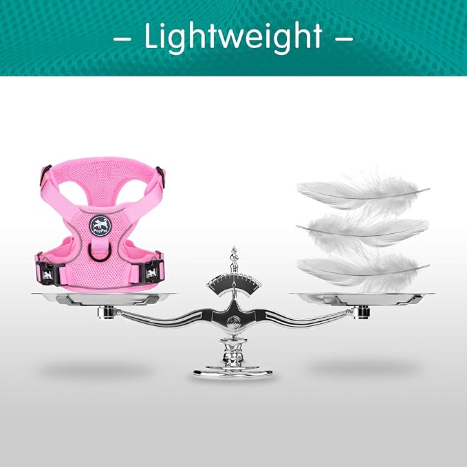 PoyPet Mesh Dog Harness, Reflective Breathable Puppy Vest for Large Dogs | Lightweight, Soft Air Mesh, Back D-ring, Adjustable, Comfortable, Double Padded, No Choke, for Daily Walking, XL, Light Pink - Image 5