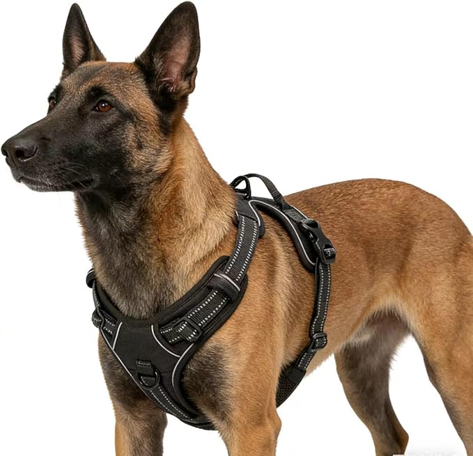Black Adjustable Reflective No-Pull Dog Harness with 2 Leash Clips，Soft Padded Vest for Small Dog, Easy to Put on and Take Off,Black Small - Image 5