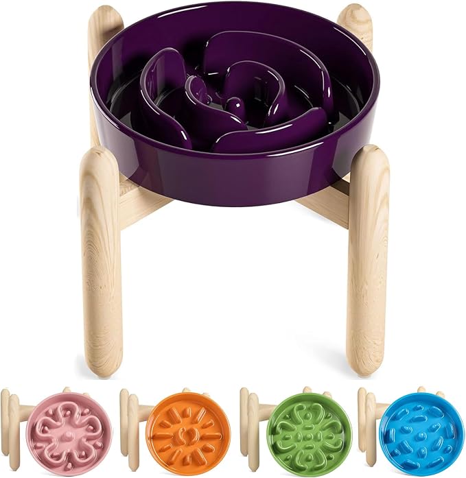 LE TAUCI Ceramic Slow Feeder Dog Bowls Elevated, 3 Cup Raised Bowl with Wooden Stand for Medium Large Breed, Slow Down Eating, Puzzle Dog Food Bowl, Maze Purple by LETAUCI