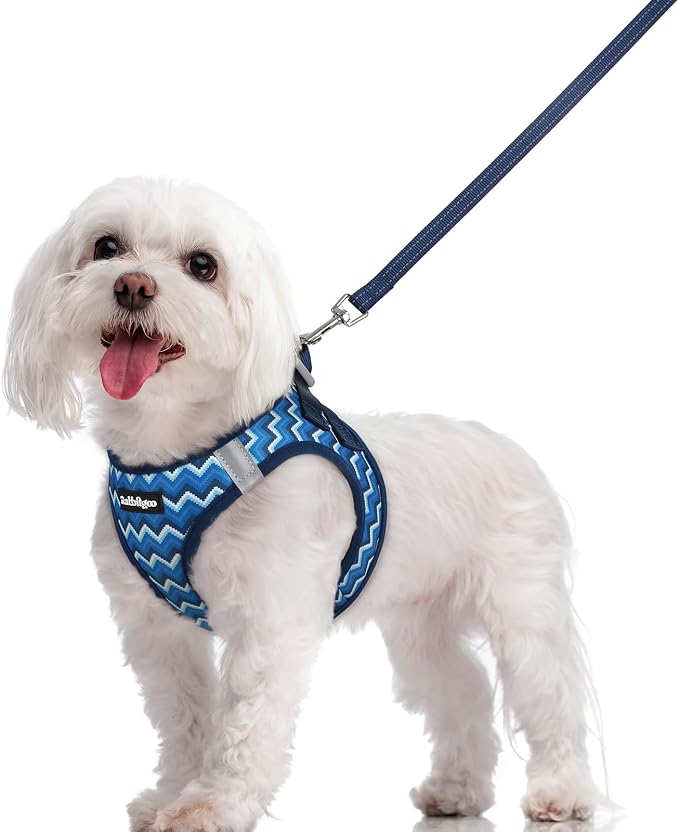 rabbitgoo Dog Harness Small Sized and Leash Set, Step-in Puppy Pet Vest | Light, Soft, Breathable Air Mesh, Easy on and Remove with Hook & Loop, Secure Reflective for Walking, Blue Zigzag M by rabbitgoo