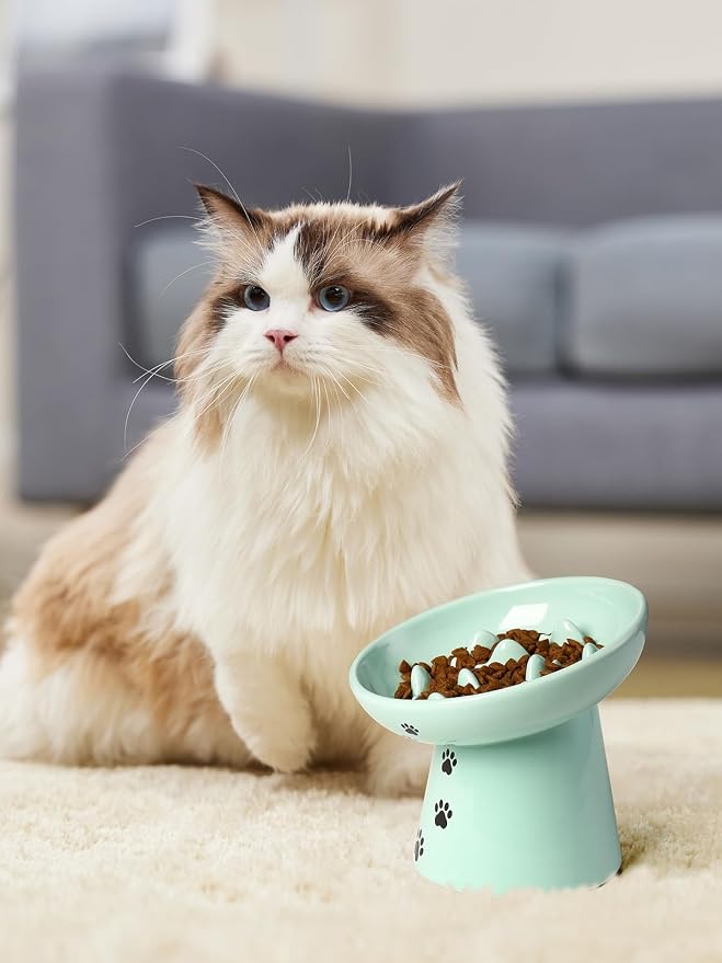 Y YHY Slow Feeder Cat Bowl, Ceramic Cat Slow Feeder Bowl, 6 Inches, Elevated, Anti Vomiting for Dry and Wet Food, Green - Image 7