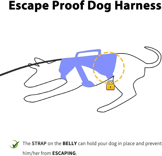 Escape Proof Dog Harness, Dachshund Harness, Reflective Dog Harness with Handle, Durable,Adjustable Vest for Small Medium Large Dogs Walking, Training, and Running Gear (Technicolor Blue,L) - Image 2
