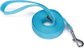 Strong Durable Nylon Dog Training Leash, 1 Inch Wide Traction Rope, 10 ft Long, for Small and Medium Dog (Mint Blue, 10 Feet) by Siumouhoi