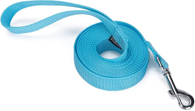 Strong Durable Nylon Dog Training Leash, 1 Inch Wide Traction Rope, 10 ft Long, for Small and Medium Dog (Mint Blue, 10 Feet) by Siumouhoi