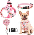 Christmas Puppy Harness - Dog Collar and Leash - Soft Mesh Padded Adjustable Step in Small Dog Vest Harness No Pull, Reflective Escape Proof for Outdoor Walking, Red S by EXPAWLORER