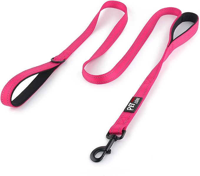 Plutus Pet Double Handle Dog Leash, 5 FT Long, for Medium Large Dogs | Reflective Nylon, Soft Padded 2 Handles, Heavy Duty for Training, Dual Handle Lead, 5 FT x 1”, Pink by PLUTUSPET