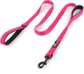 Plutus Pet Double Handle Dog Leash, 5 FT Long, for Medium Large Dogs | Reflective Nylon, Soft Padded 2 Handles, Heavy Duty for Training, Dual Handle Lead, 5 FT x 1”, Pink by PLUTUSPET