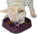 Healthy Slow Feeding Dog Bowl for French Bulldog -Slow Feeder Dog Bowl No Chocking Dog Cat Food Water Bowl with Four-Leaf Clover Pattern (Coffee) by Hifrenchies