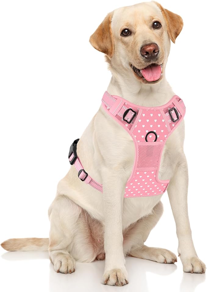 Rnivvi No Pull Dog Harness, Cute Reflective Large Sized Puppy Harness, Adjustable Soft Padded Vest for Large Dogs, Heavy Duty Pet Vest with Easy Control Handle for Walking Training, Pink Hearts - Image 2