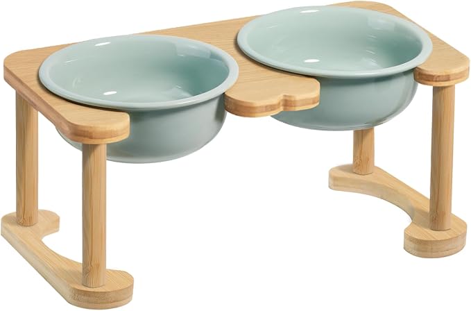 Raised Ceramic Dog Bowl, Elevated Food and Water Feeding Set, Light Green | Pet Dishes For Small and Medium Breeds, 6.9" Wide Double Modern Porcelain Bowls, 6.3" High Wooden Stand, Non-Slip, 28Oz/800ML by Wordcam
