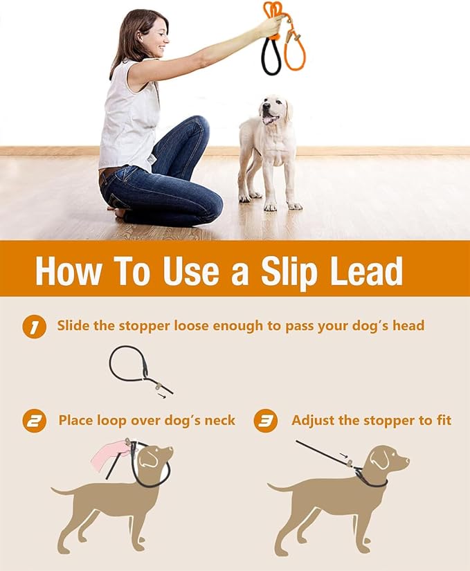 2 Pack Dog Leash Slip Lead Braided Rope Pet Training Loop Leashes 6ft 8ft | Lynxking Strong Heavy Duty 1/2" 3/8", Durable Padded Handle No Pull Basic Training Nylon Lead,Small Medium Large Dogs Puppy - Image 4