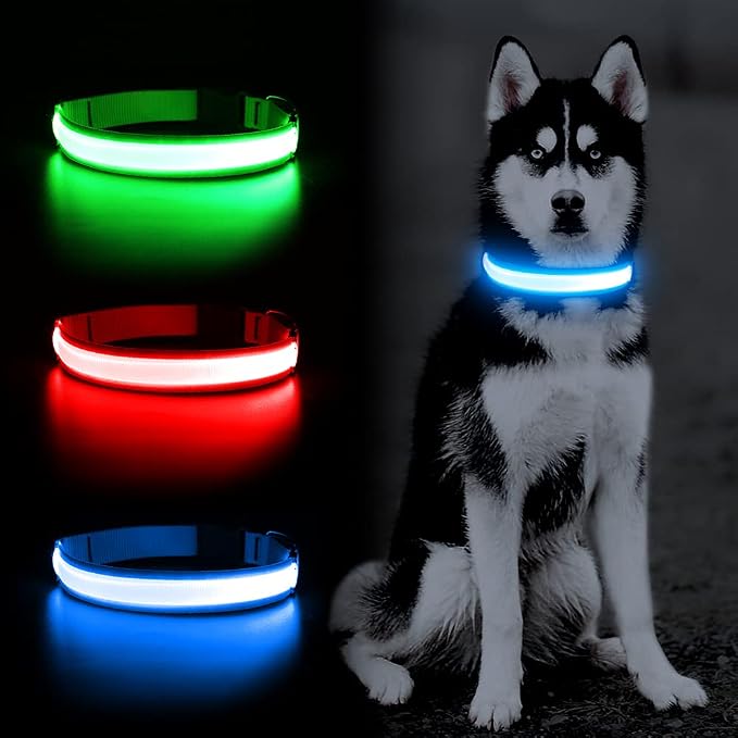 LED Dog Collar, Dog Light Up Collar,for Night Walking (Blue, Medium) | Adjustable,Waterproof,Nylon,Soft,Super Bright Light Collars for Small Medium and Large Dogs,USB C to Charge - Image 7