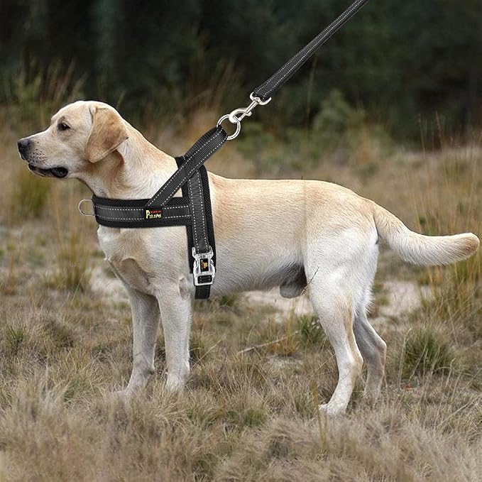 Plutus Pet No Pull Dog Harness for Medium Sized Dog, Breathable Mesh Padded | Adjustable Reflective with Handle, Escape Proof, Quick Fit Pet Vest, Front Clip, for Training and Walking, Black, M - Image 5