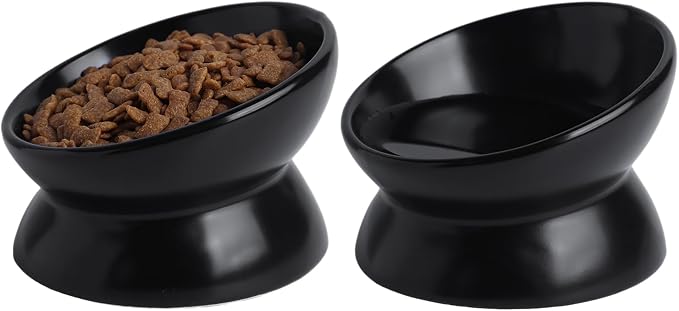Elevated Ceramic Cat Bowl, 15° Tilted Raised Food & Water Dishes, Anti-Vomiting & Neck Protection Pet Feeder for Kittens, Small Dogs (5.2", Black, 1pc Set) - Image 5