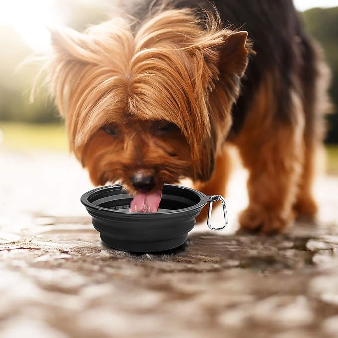 Kytely Large Collapsible Dog Bowls 2 Pack, 34oz Foldable Dog Travel Bowl | Portable Dog Water Food Bowl with Clasp, Pet Cat Feeding Cup Dish for Traveling, Walking, Parking - Image 7