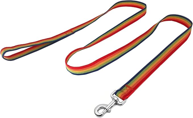 Strong Nylon Dog Leash, 4FT/ 5 FT/ 6FT Dog Leashes for Medium Large Dogs (6FT, Rainbow) - Image 2