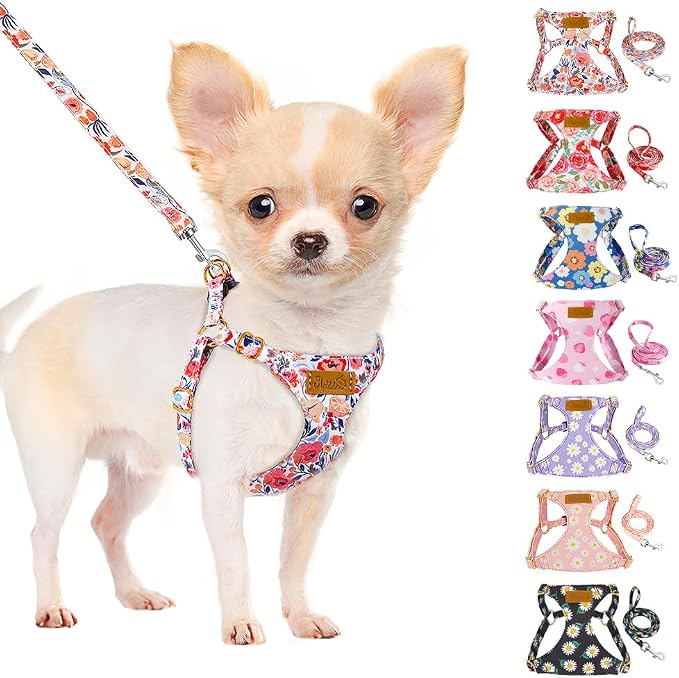 SlowTon No Pull Dog Harness with Leash for Small Medium Dogs, Flower XS | Floral Pattern, Step-in, Lightweight, Easy Put On and Off, No Choke, Soft Cotton and Suede for Daily Walking by SlowTon