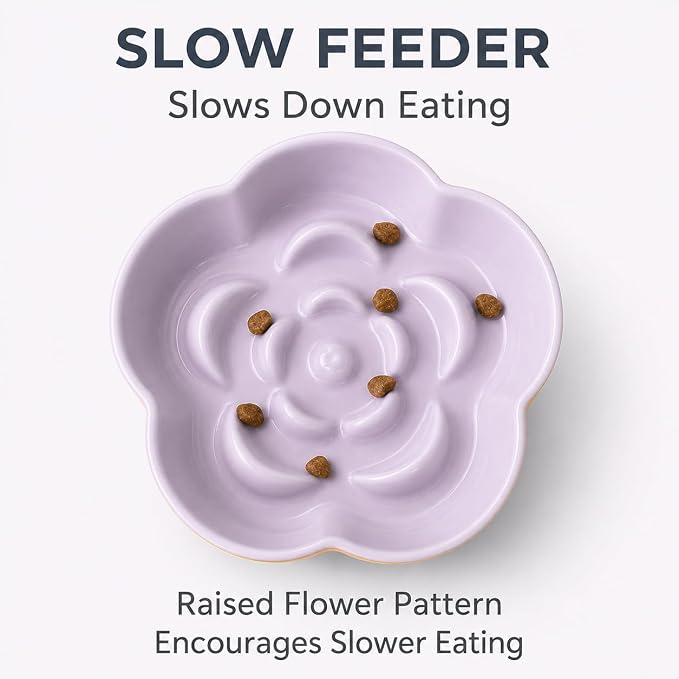 Ceramic Elevated Slow Feeder Cat Bowl, Raised and Gently Tilted Feeding Dish with Maze Design, Whisker-Friendly, Easy to Clean, for Indoor Cats and Small Dogs (Yellow/Purple) - Image 5