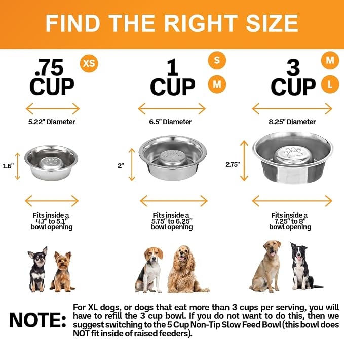 Neater Pet Brands Stainless Steel Slow Feed Dog Bowl for Fast Eating Small Breeds, Metal Slow Feeder Dog Bowl Fits in Cat & Small Neater Feeders, for Puppy or Dogs (< 15 lbs), 3/4 Cup Food Capacity - Image 3