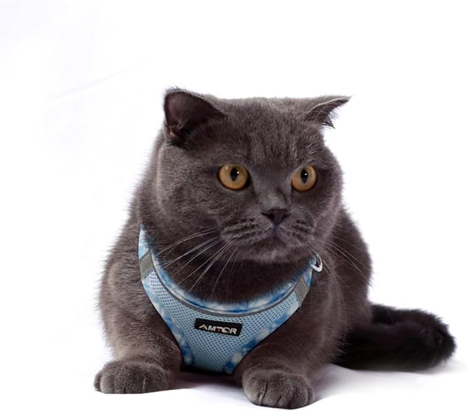 AMTOR Small Dog Harness with Leash Set, No Escape Easy Walk Puppy Harnesses for Training Walking, Step-in Reflective Soft Dogs Vest for XS S Medium Extra-Small Large Sized Dog(Blue/White,S) - Image 5