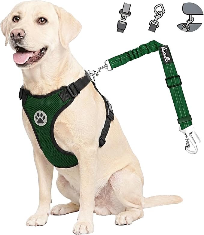 Lukovee Dog Car Harness Seat Belt, Harness & Seatbelt with 2 in 1 Buckle | Adjustable Soft Breathable Mesh Harness, Reflective Elastic Reflective Tether, for Small Medium Large Dogs Pets (Green, L) by Lukovee