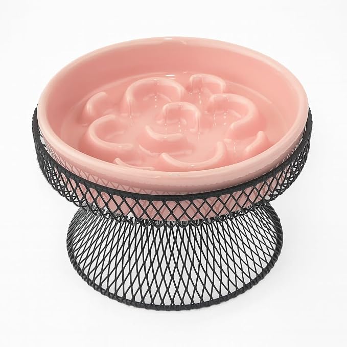 Raised Ceramic Cat Slow Feeder Bowl Elevated Food Bowl with Stand, Cat Slow Bowl for Wet Food and Dry Food, Whisker Friendly Pet Feeder for Kitty and Small Dog by Trundisan